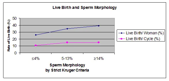 Live Birth and Sperm Morphology Graph