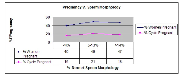 Pregnancy Versus Sperm Morphology