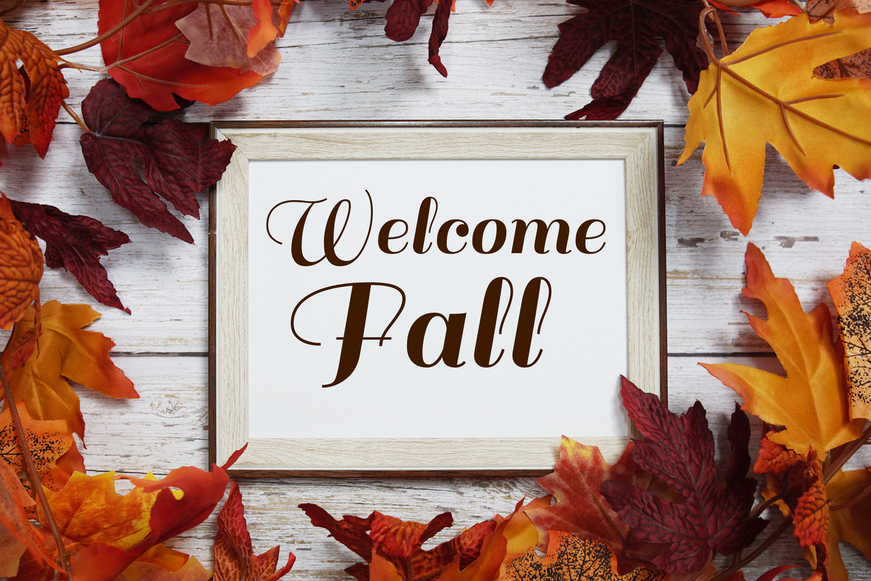 Welcome Fall text message top view with maple leaf decoration on wooden background Home 1